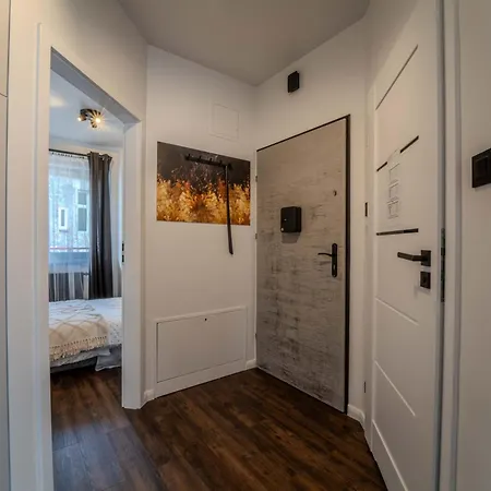 New Large Modern - Center - 60m2 - Lift - Parking Apartment Breslau